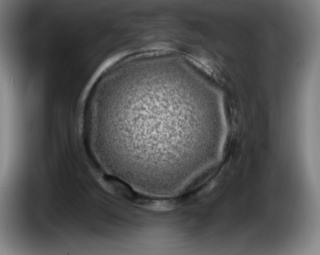 X0000086280056200704191955