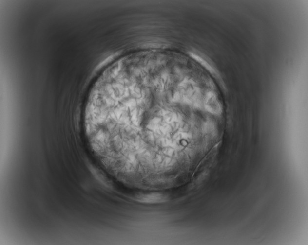 X0000086280058200704191955