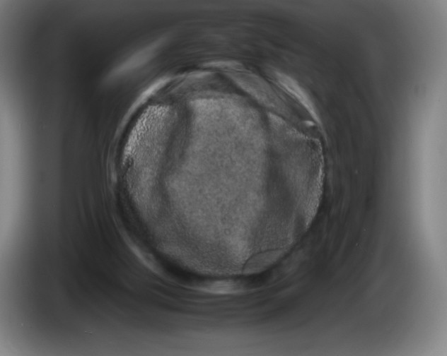 X0000086280059200704191955