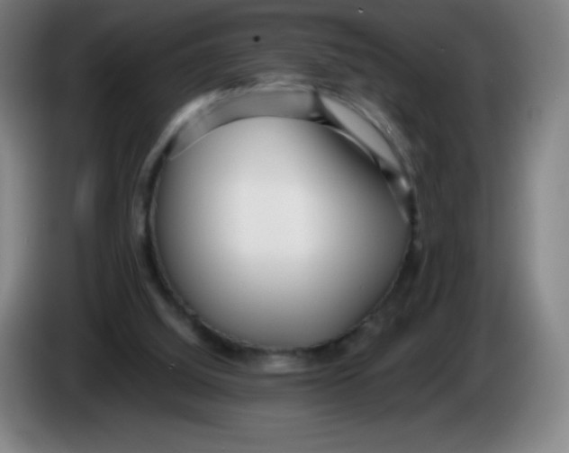 X0000086280060200704191955