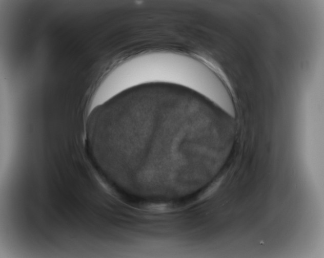 X0000086280061200704191955