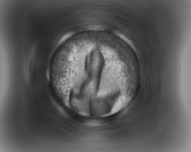 X0000086280062200704191955