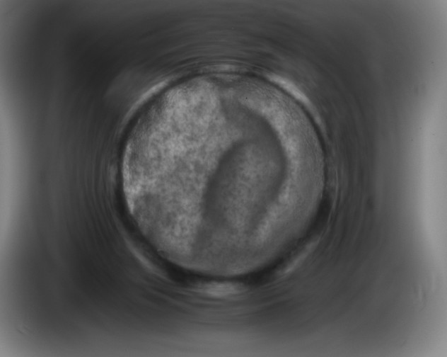 X0000086280063200704191955