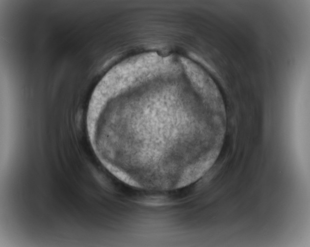 X0000086280066200704191955