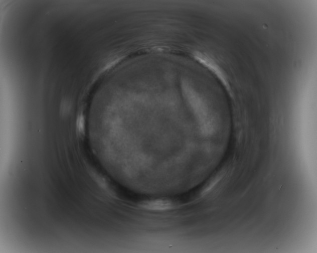 X0000086280067200704191955