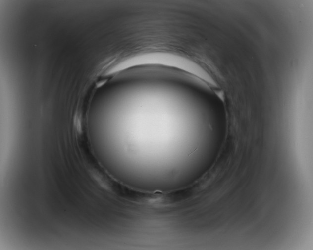 X0000086280068200704191955