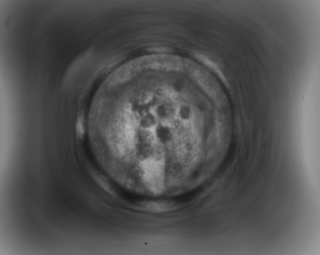 X0000086280069200704191955