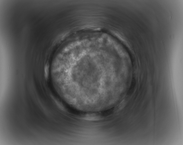 X0000086280070200704191955