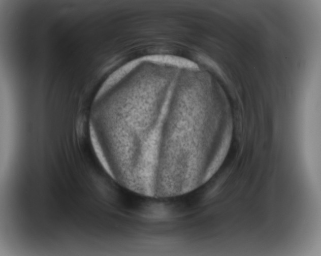 X0000086280071200704191955