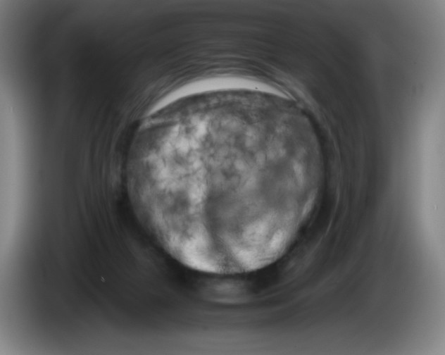 X0000086280073200704191955