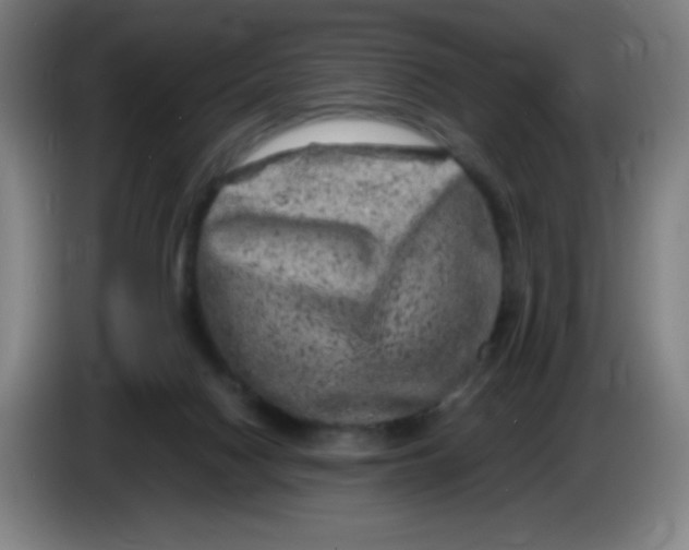 X0000086280074200704191955