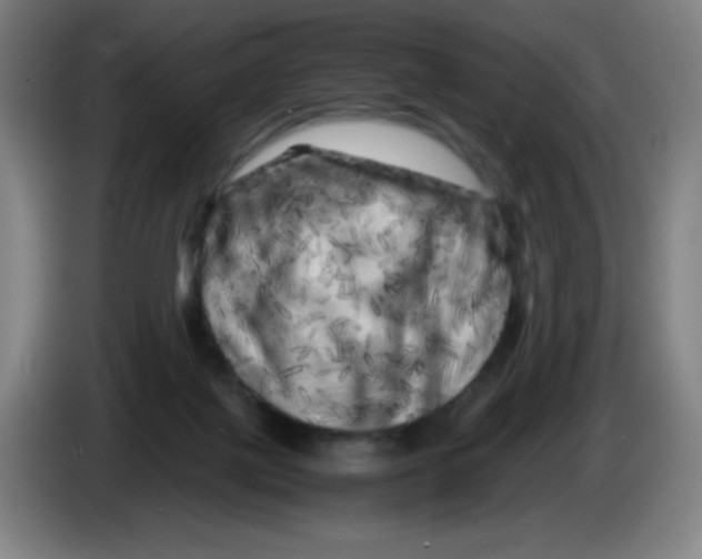 X0000086280075200704191955