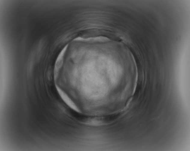 X0000086280078200704191955