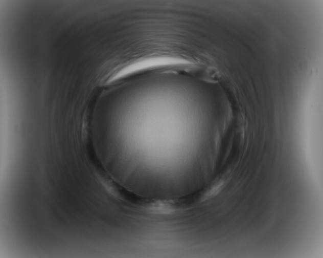 X0000086280080200704191955