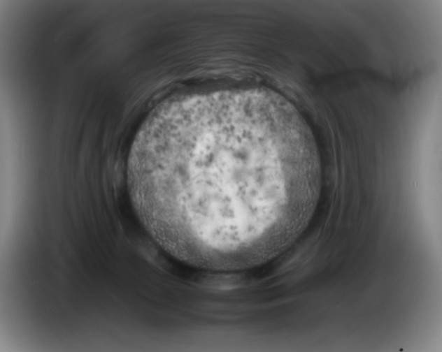 X0000086280081200704191955