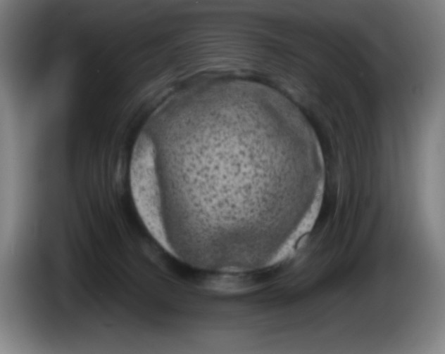 X0000086280082200704191955