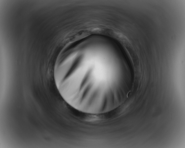 X0000086280083200704191955