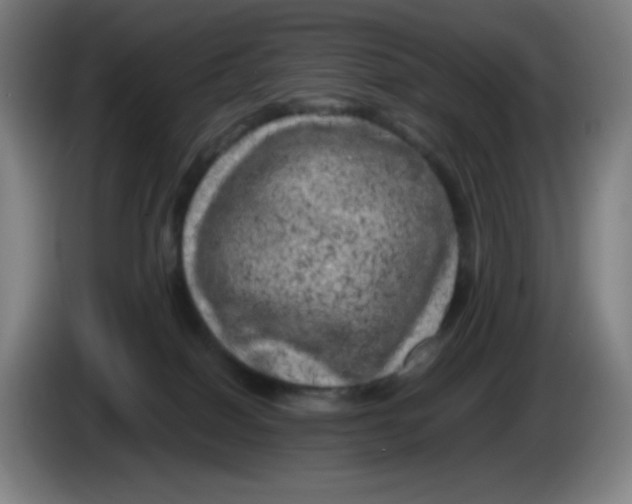 X0000086280086200704191955