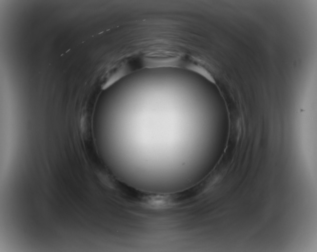 X0000086280088200704191955