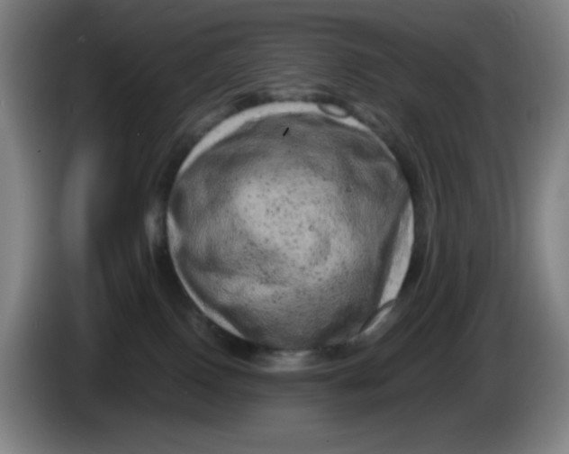 X0000086280090200704191955