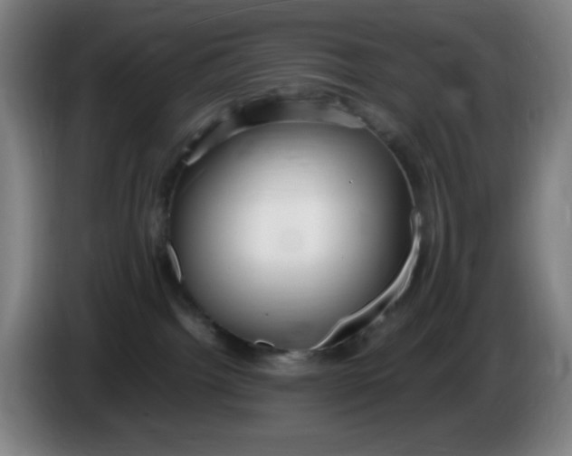 X0000086280092200704191955