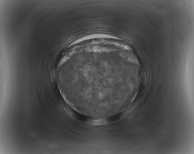 X0000086280093200704191955