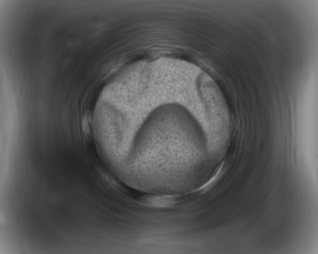 X0000086280094200704191955