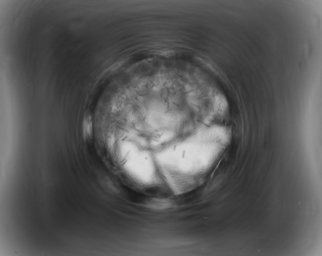 X0000086280095200704191955