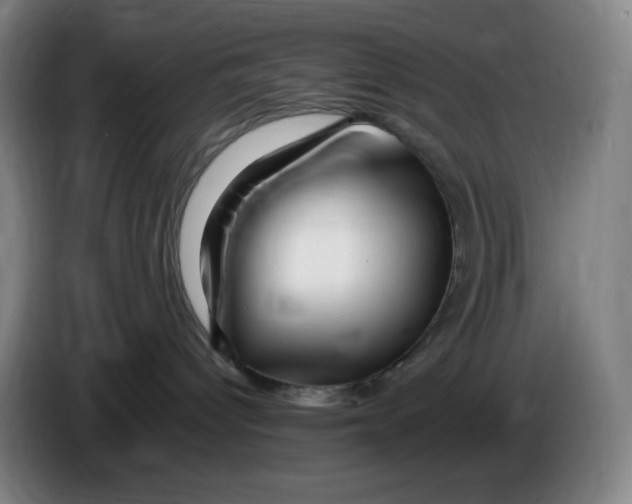 X0000086280096200704191955