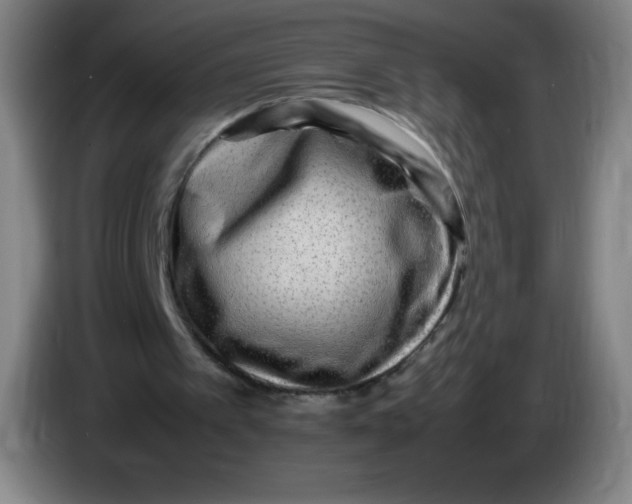 X0000086280097200704191954