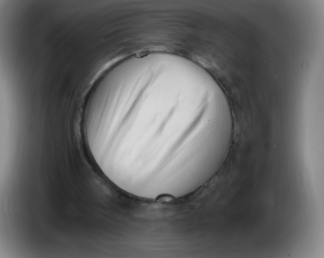 X0000086280098200704191954