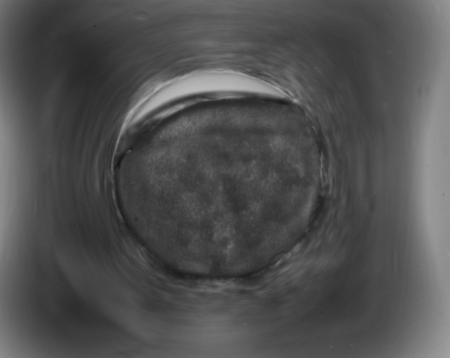 X0000086280099200704191954