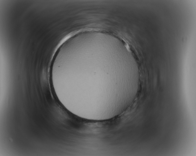 X0000086280100200704191954