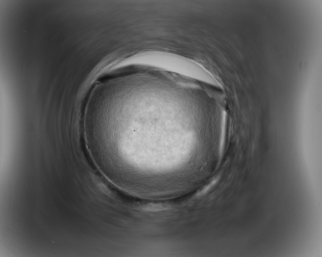 X0000086280101200704191954