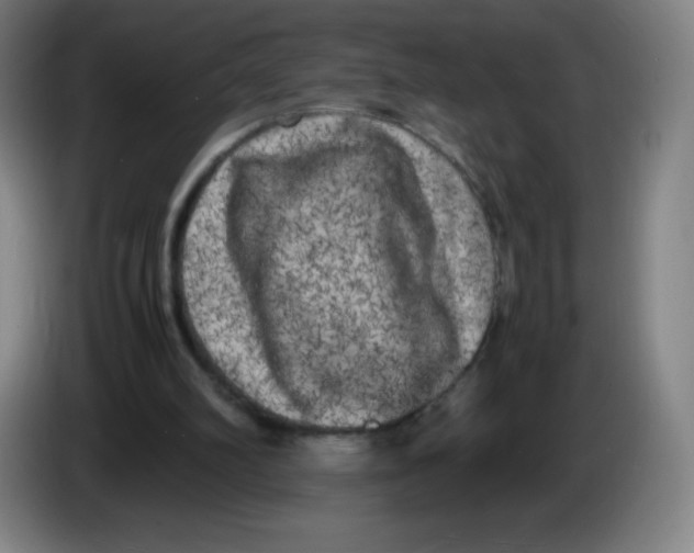 X0000086280102200704191954