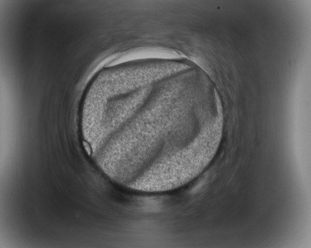 X0000086280103200704191954