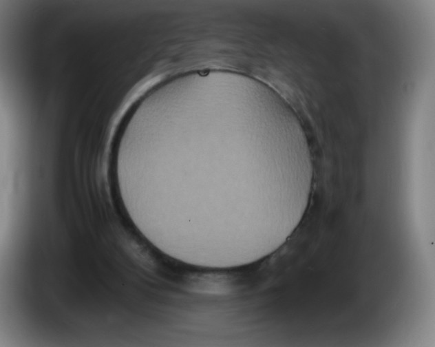 X0000086280104200704191954