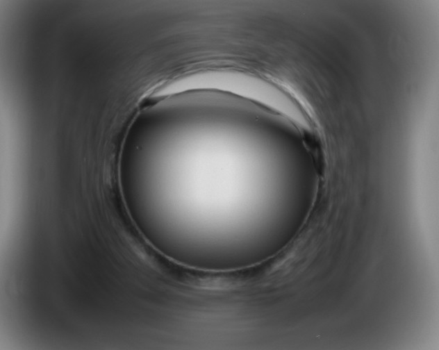 X0000086280105200704191954