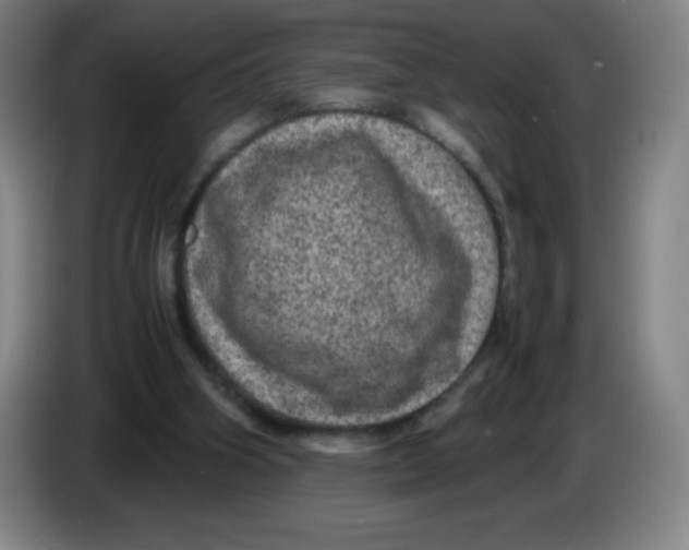 X0000086280106200704191954