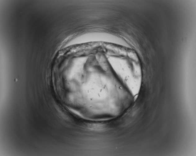 X0000086280107200704191954