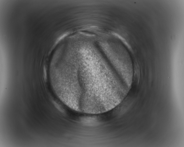 X0000086280110200704191954