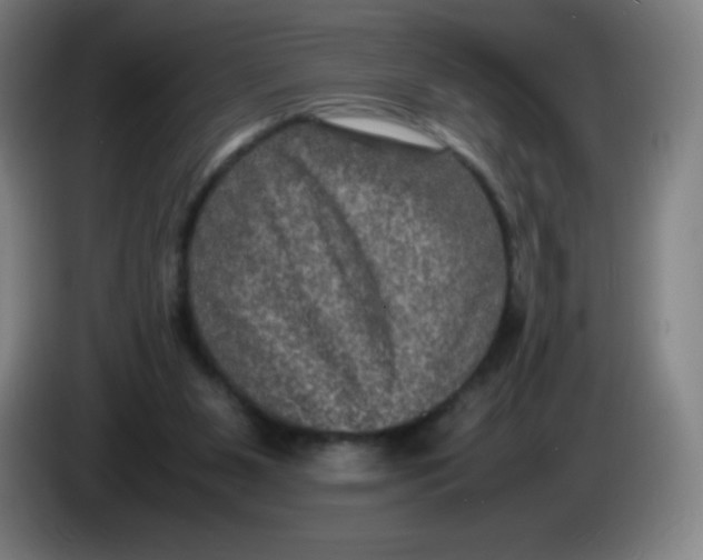 X0000086280111200704191954