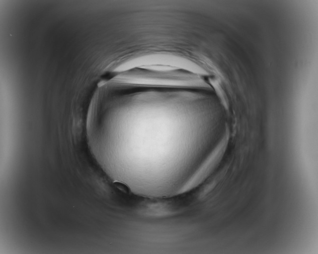 X0000086280113200704191954