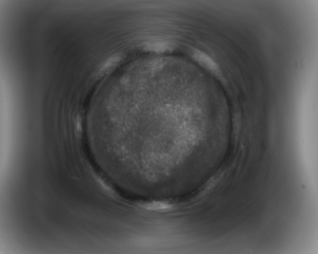 X0000086280114200704191954