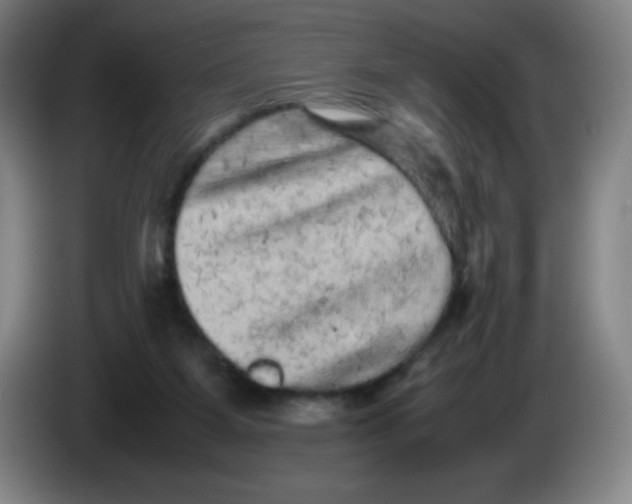 X0000086280115200704191954