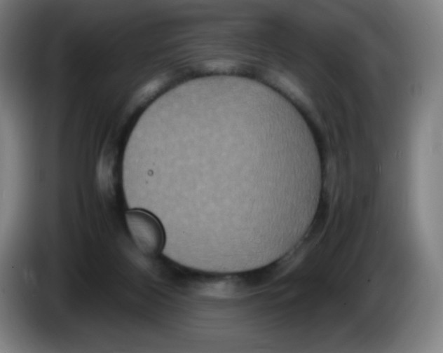 X0000086280116200704191954