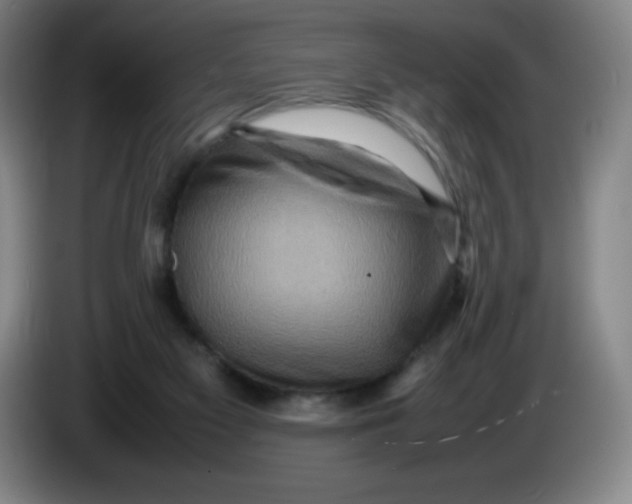 X0000086280117200704191954