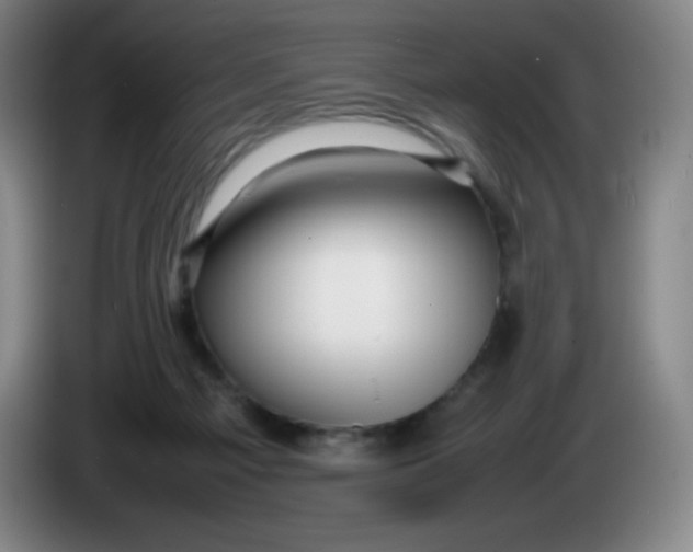 X0000086280121200704191954