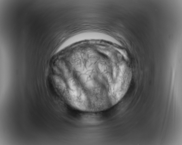 X0000086280123200704191954