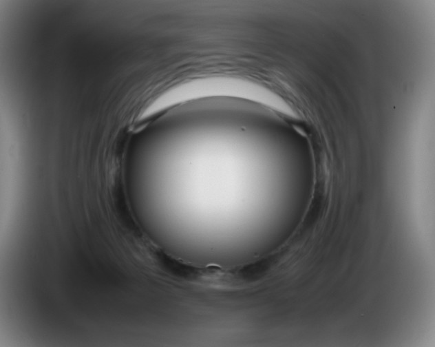 X0000086280125200704191954